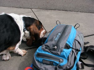"I think she keeps those treats in her backpack."